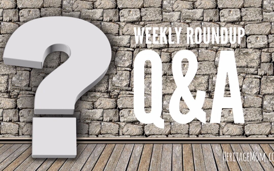 VIDEO: Weekly Roundup – Worldschooling Q&A