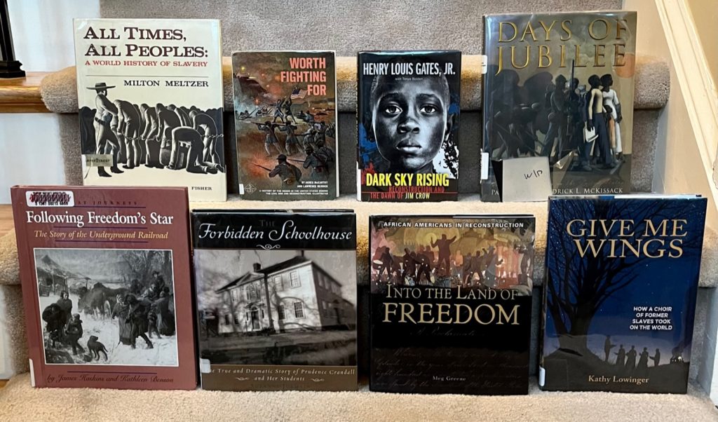 A History of the African American Novel