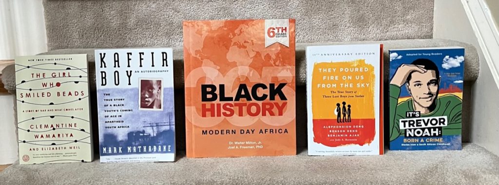 Modern Day Africa Books